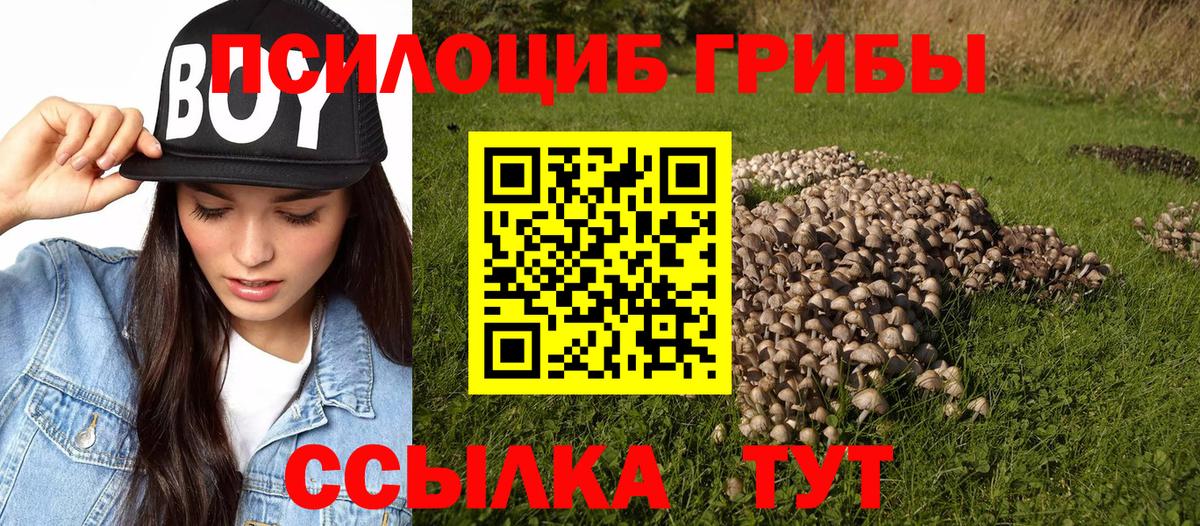 Галлюциногенные грибы ЛСД Клинцы